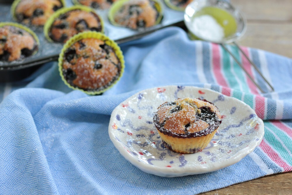 Fresh Blueberry Muffins