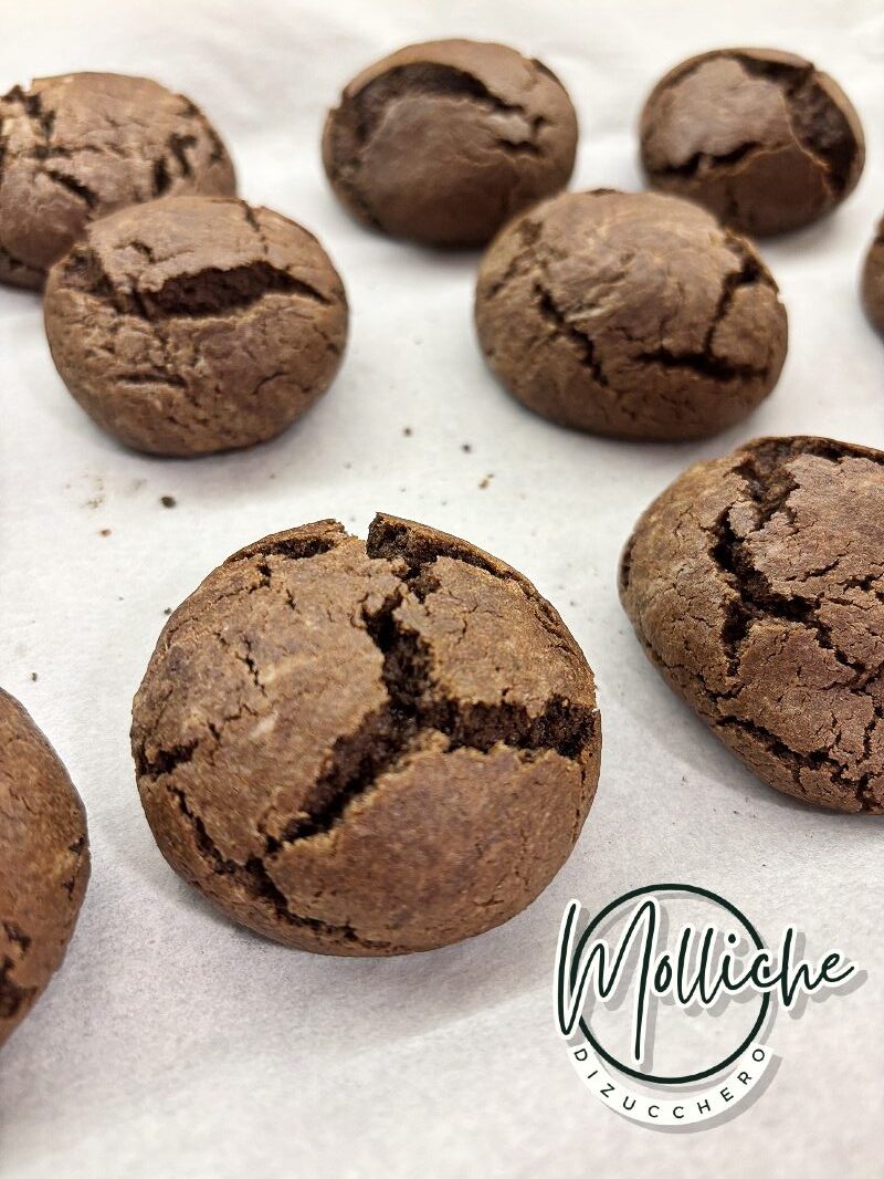 Quick Cocoa Cookies