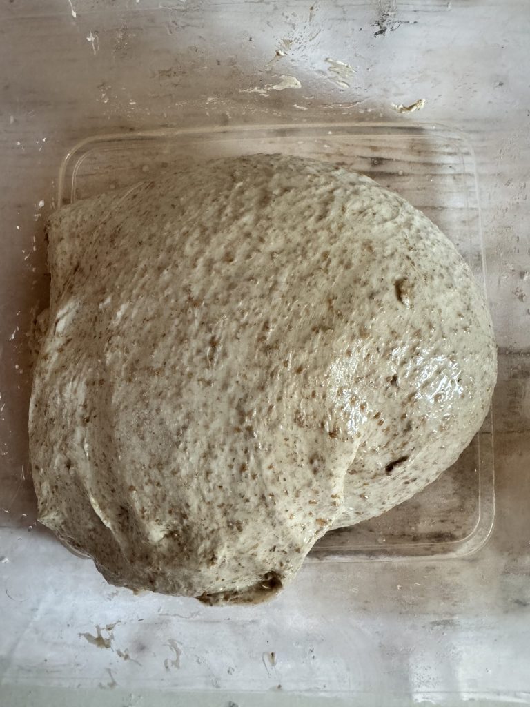 dough after resting for half an hour