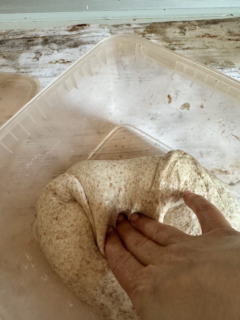 beginning folds in the bowl