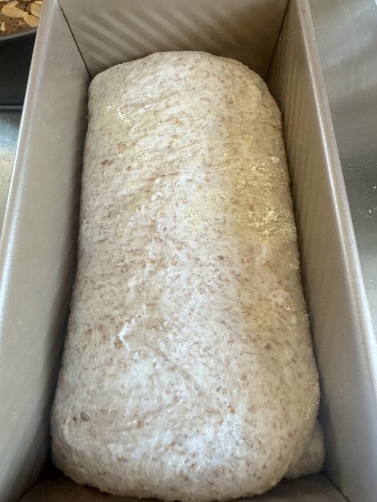 risen dough