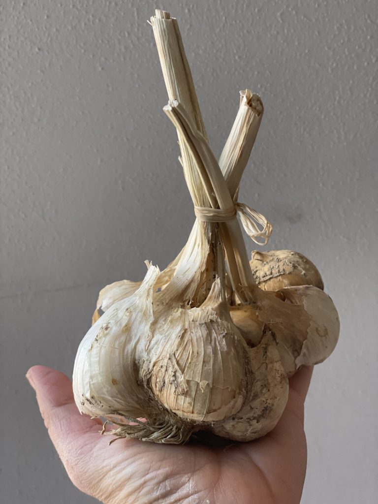 aglione before cleaning