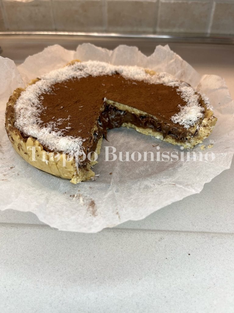 Quick Cake with Hazelnut Cream and Coconut