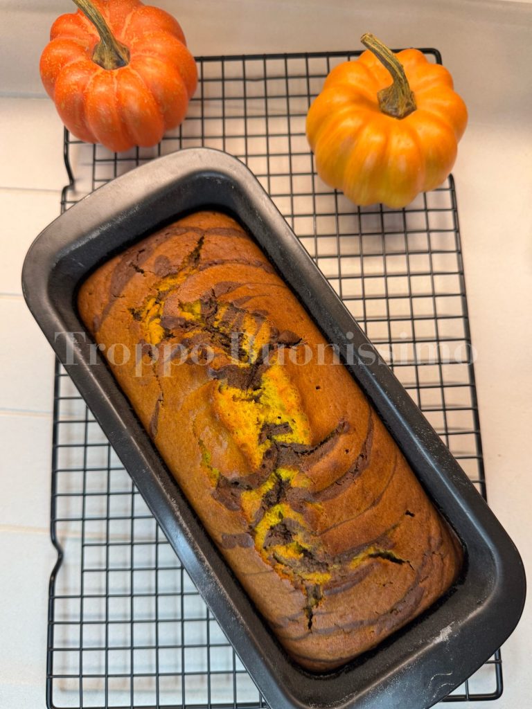 pumpkin and chocolate loaf cake