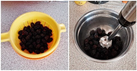 blend the mulberries