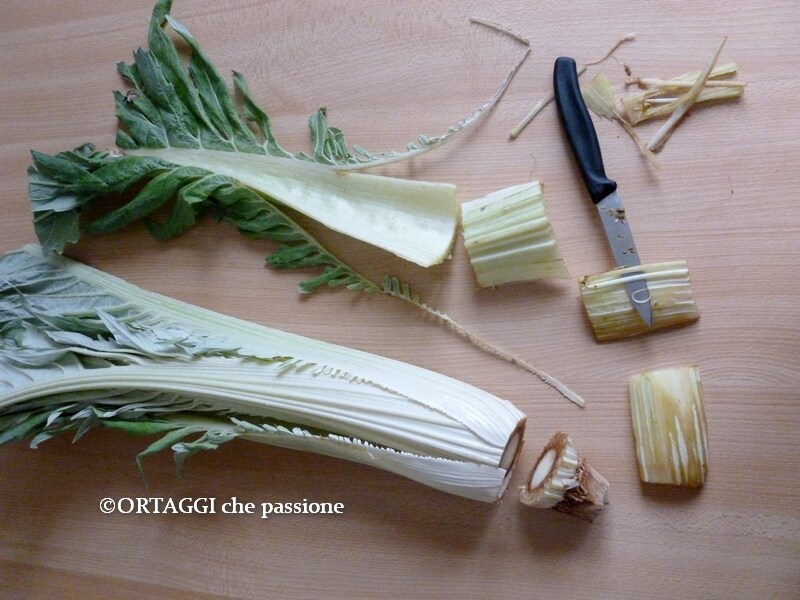 clean cardoons - easy and fast method