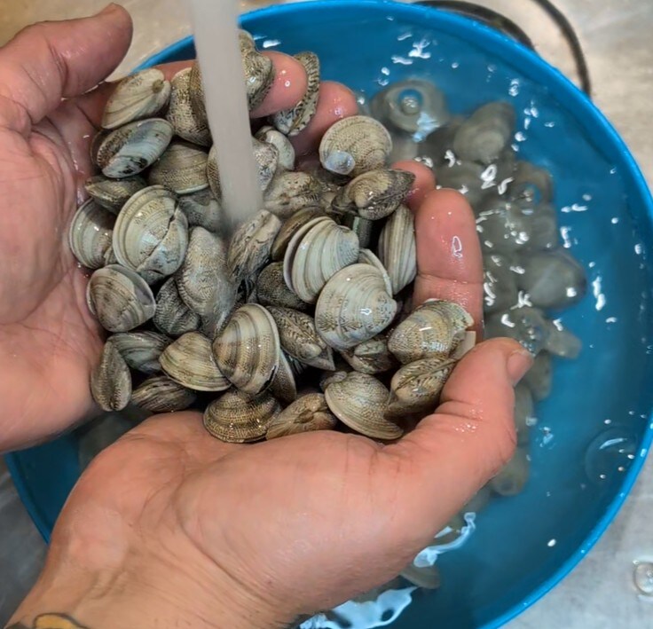 Creamy Fregola with Clams: the Easy and Quick Recipe with Sardinian Pasta!