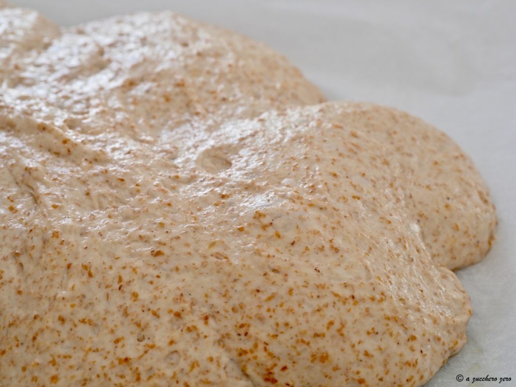 Pizza Dough with Whole Wheat Flour and Type 2 Flour