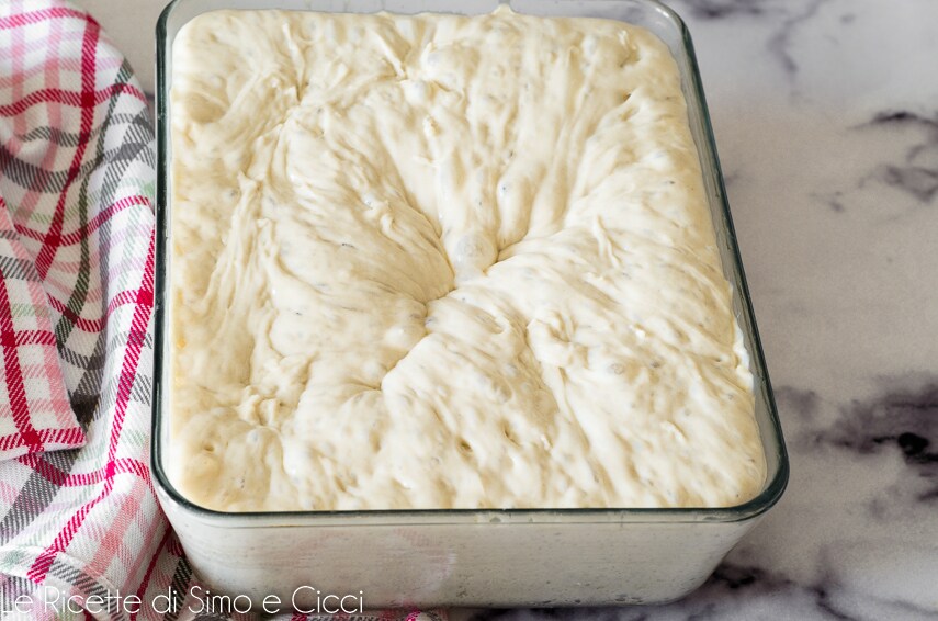 Pan Pizza with 24-hour Fermentation (Bonci Pizza)