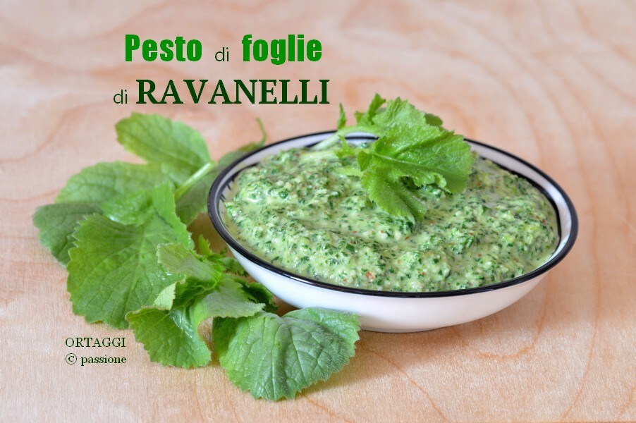 Radish Leaf Pesto PASSIONATE VEGETABLES by Sara Grissino