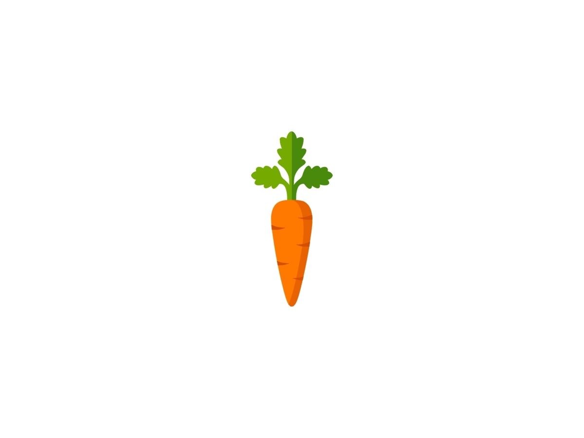 Raw Vegetables: Snacks for the Table or On-the-Go