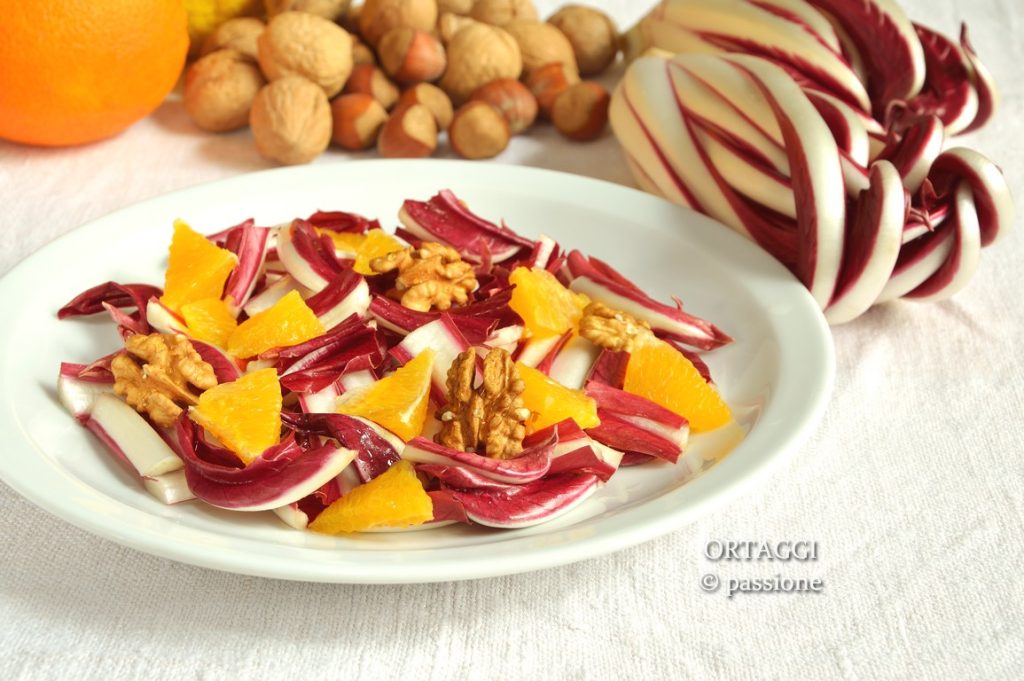Red chicory salad, vegan recipe