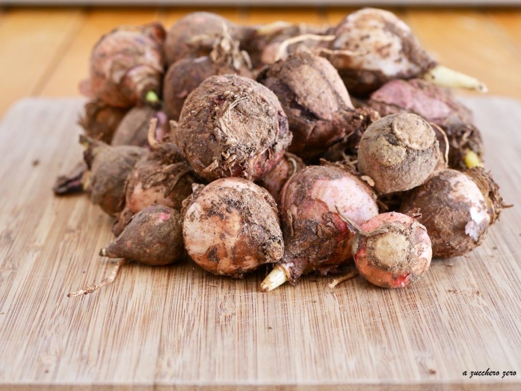 Lampascioni or Wild Calabrian Onions