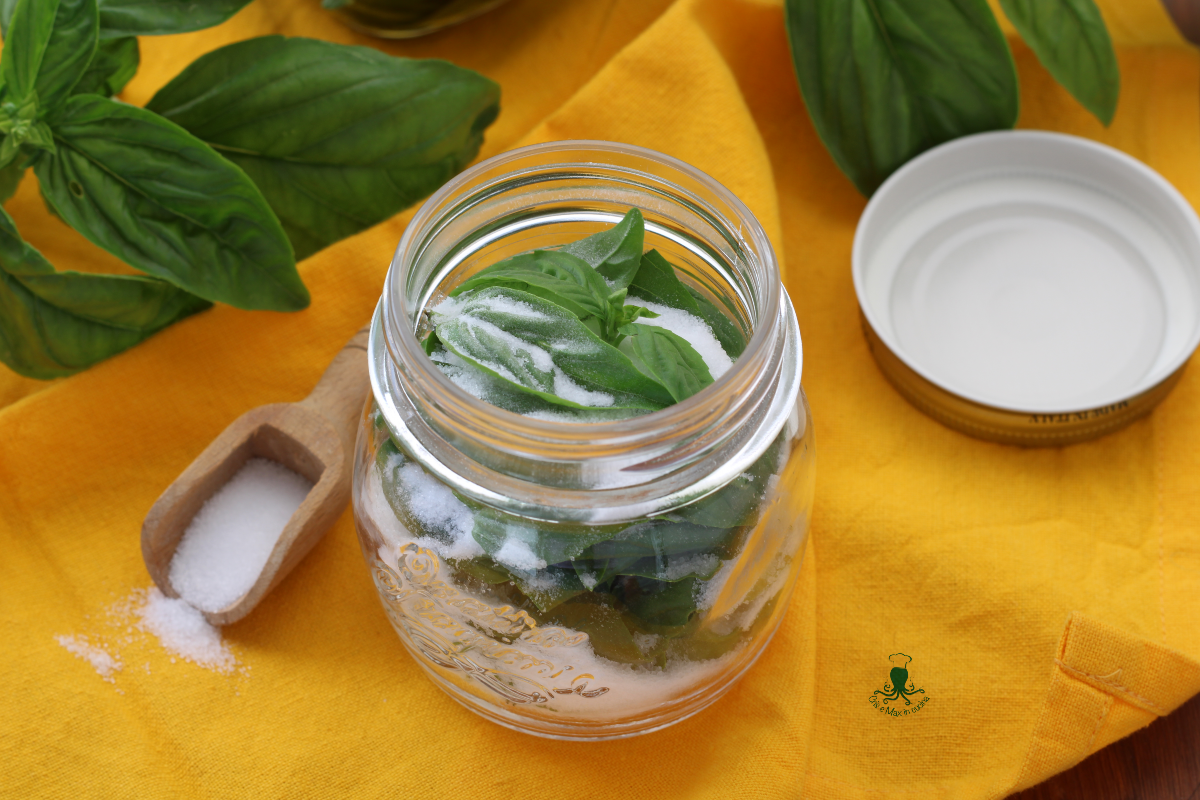 Salted Basil, for a Supply Throughout the Winter.