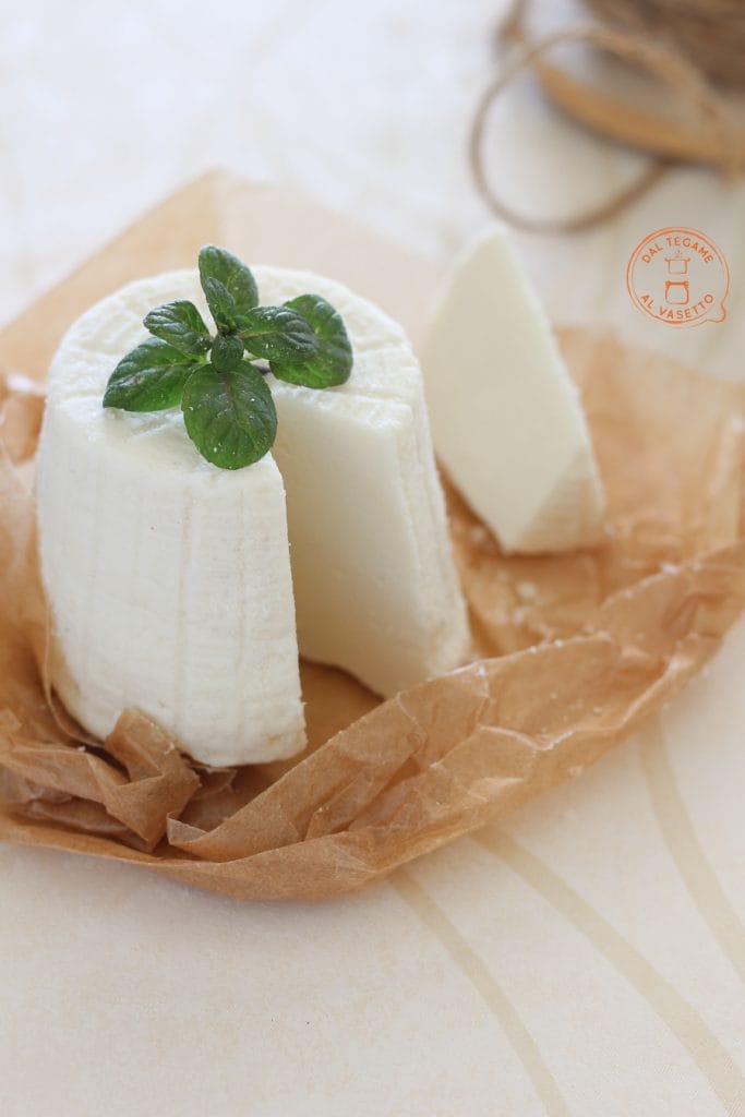 homemade salted and aged ricotta with salt