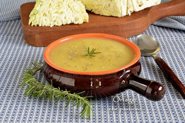 Savoy Cabbage Cream – Winter Velouté