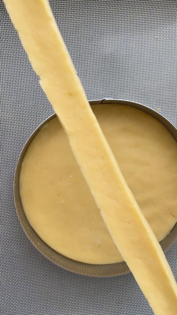 Plastic shortcrust pastry that doesn't break for all purposes