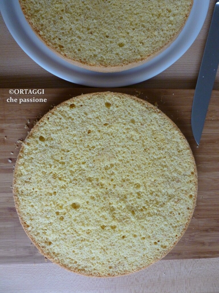 Sponge Cake Without Yeast Cut