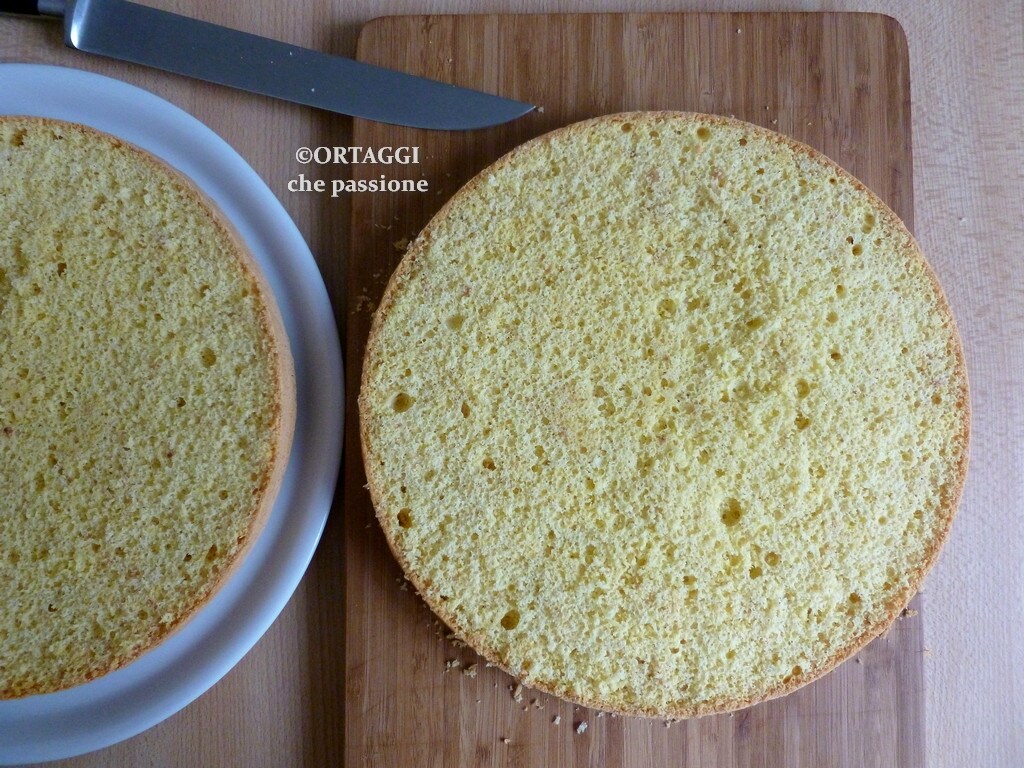 Sponge Cake Without Yeast and Little Sugar