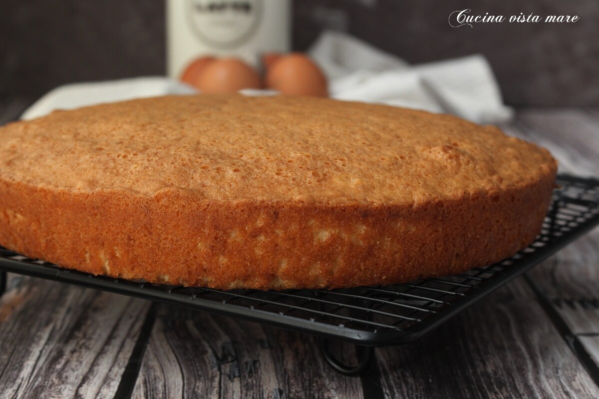Sponge Cake (Basic Recipe)