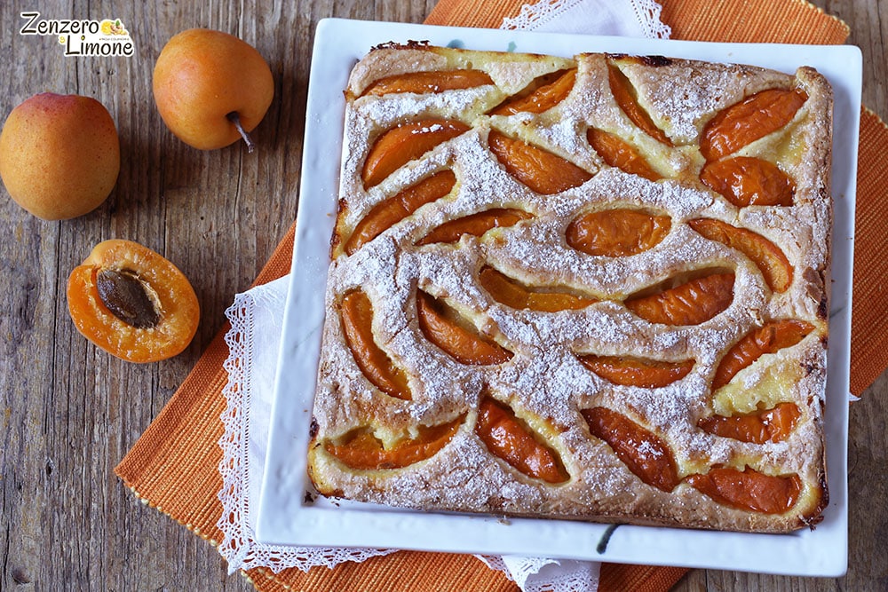 Sweet Apricot Focaccia