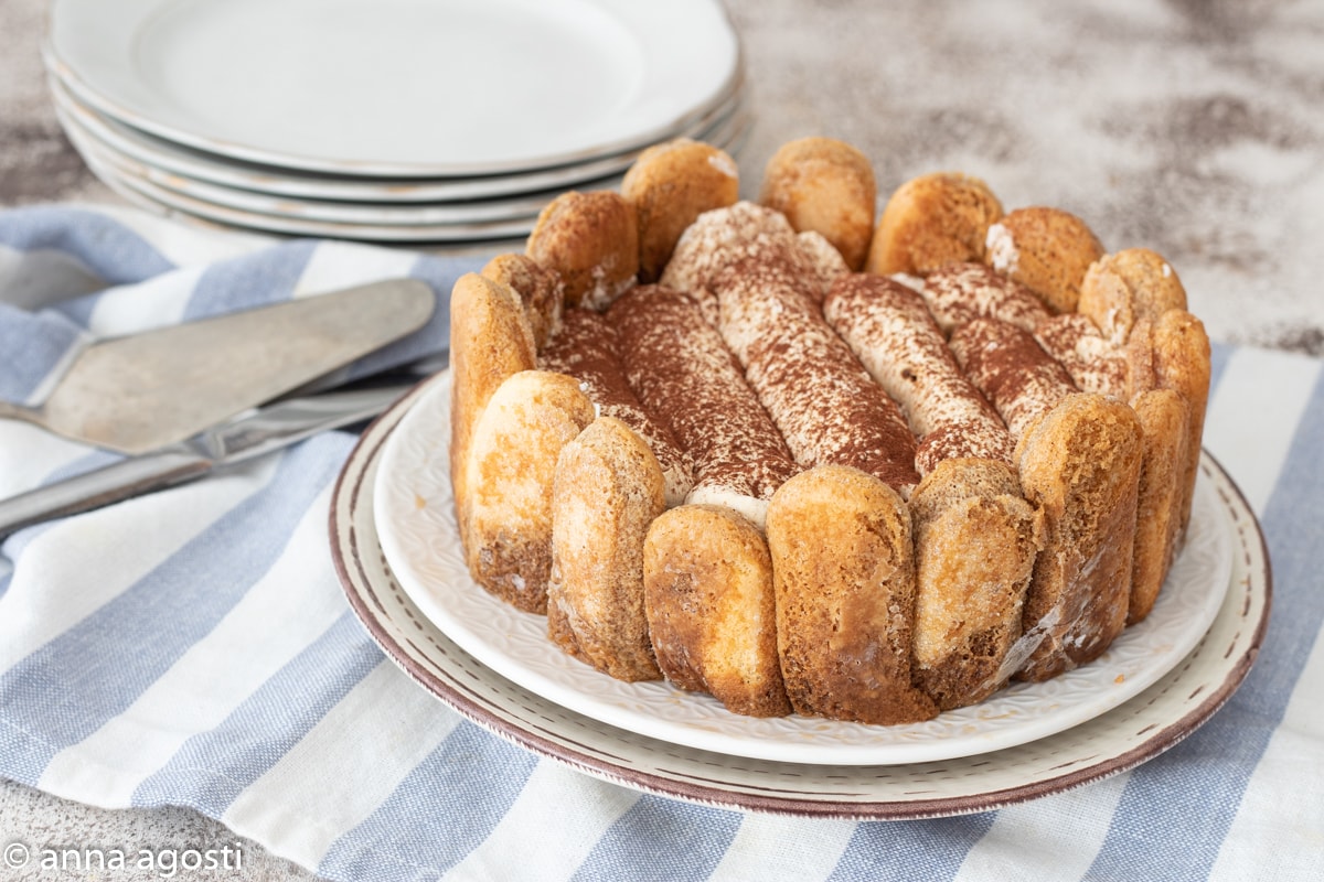 Tiramisu Charlotte Cake