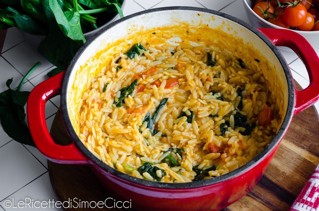 Creamy and Delicious Tomato Pastina!