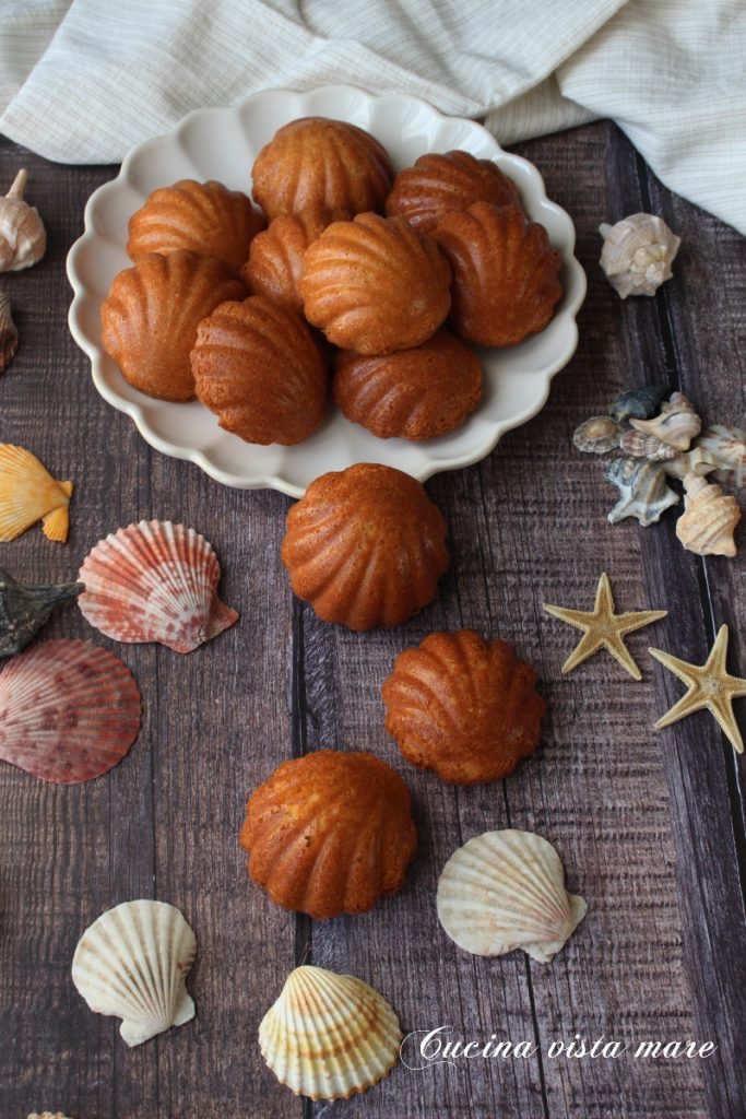 Vanilla Shells Seaside Kitchen