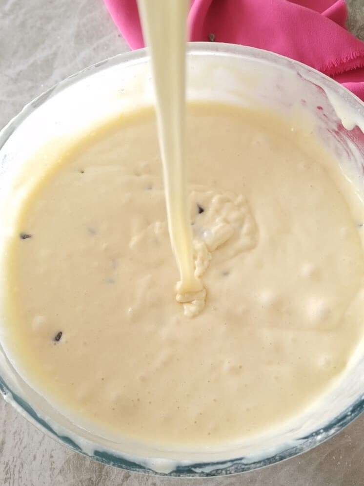 Chiffon Cake with Chocolate Chips