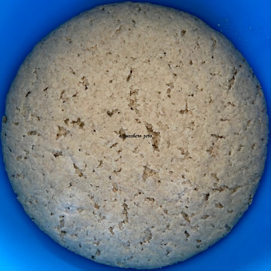 Whole Wheat Dough for Ragusane Scacce after 24 hours
