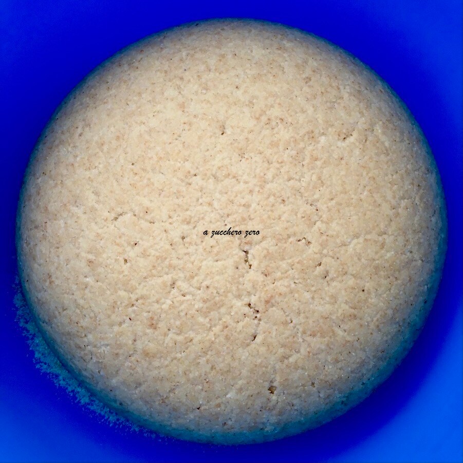 Whole Wheat Dough for Ragusane Scacce after 4 hours