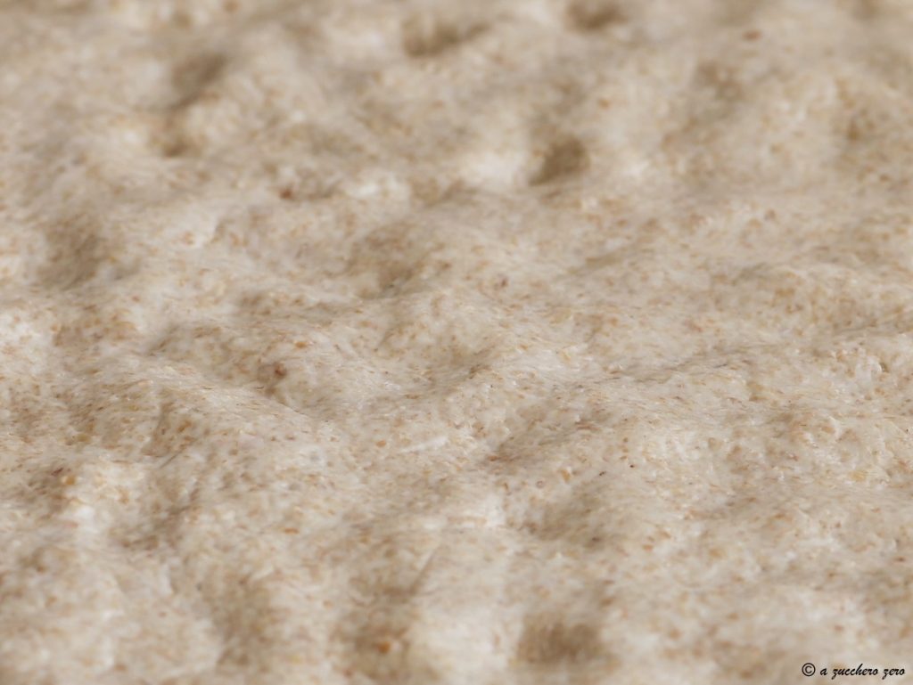 Whole Wheat Pizza Dough 24-Hour Fermentation