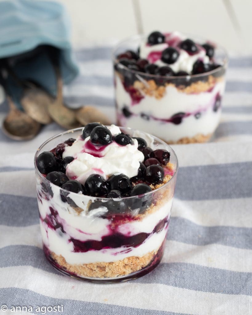 Yogurt and Blueberry Cup