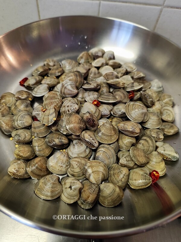 clams in the pan