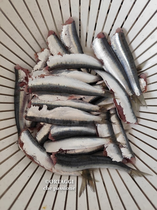 clean and wash the sardines