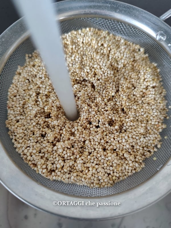rinse quinoa with cold water