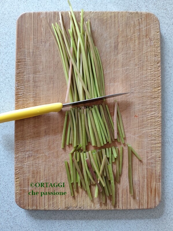 cutting dandelion stems