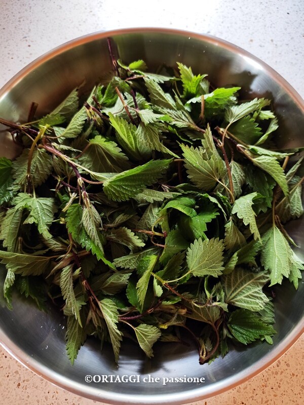 nettles in a pan with a little water and optionally a drizzle of oil