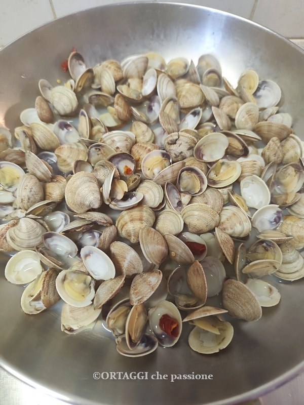 open clams in the pan