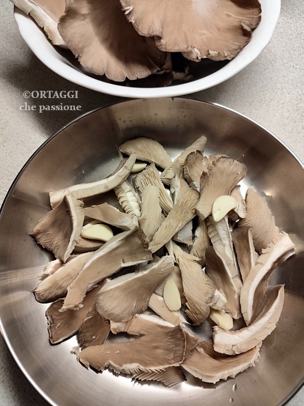 pleurotus mushrooms in pan with garlic