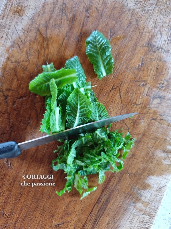 chop the primrose leaves