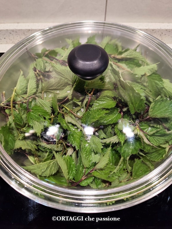 cooking nettles in a pan with the lid
