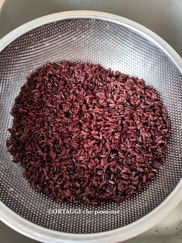 drain cooked Nerone rice
