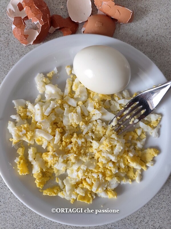 mash hard-boiled egg with a fork
