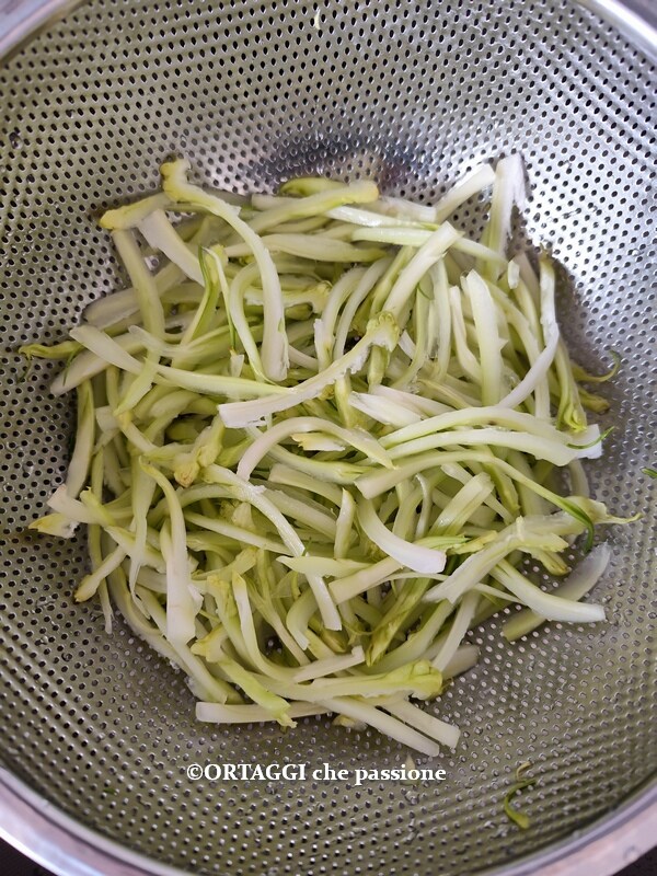draining Roman puntarelle and drying