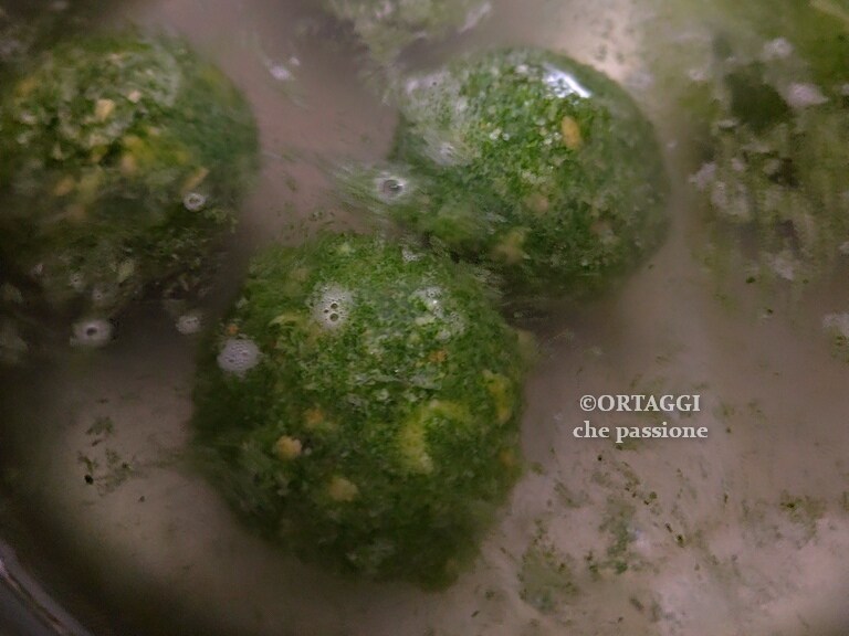 cooking test dumpling