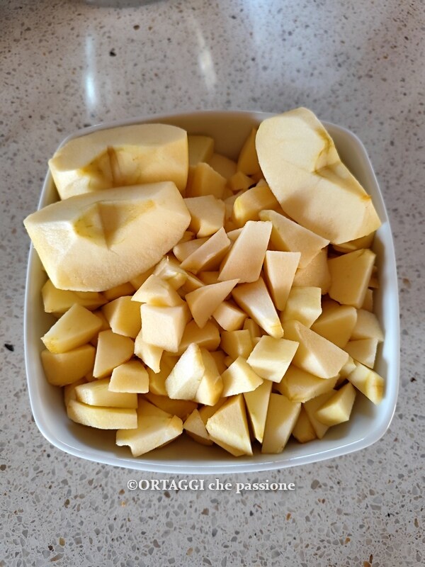 apple cut into even pieces