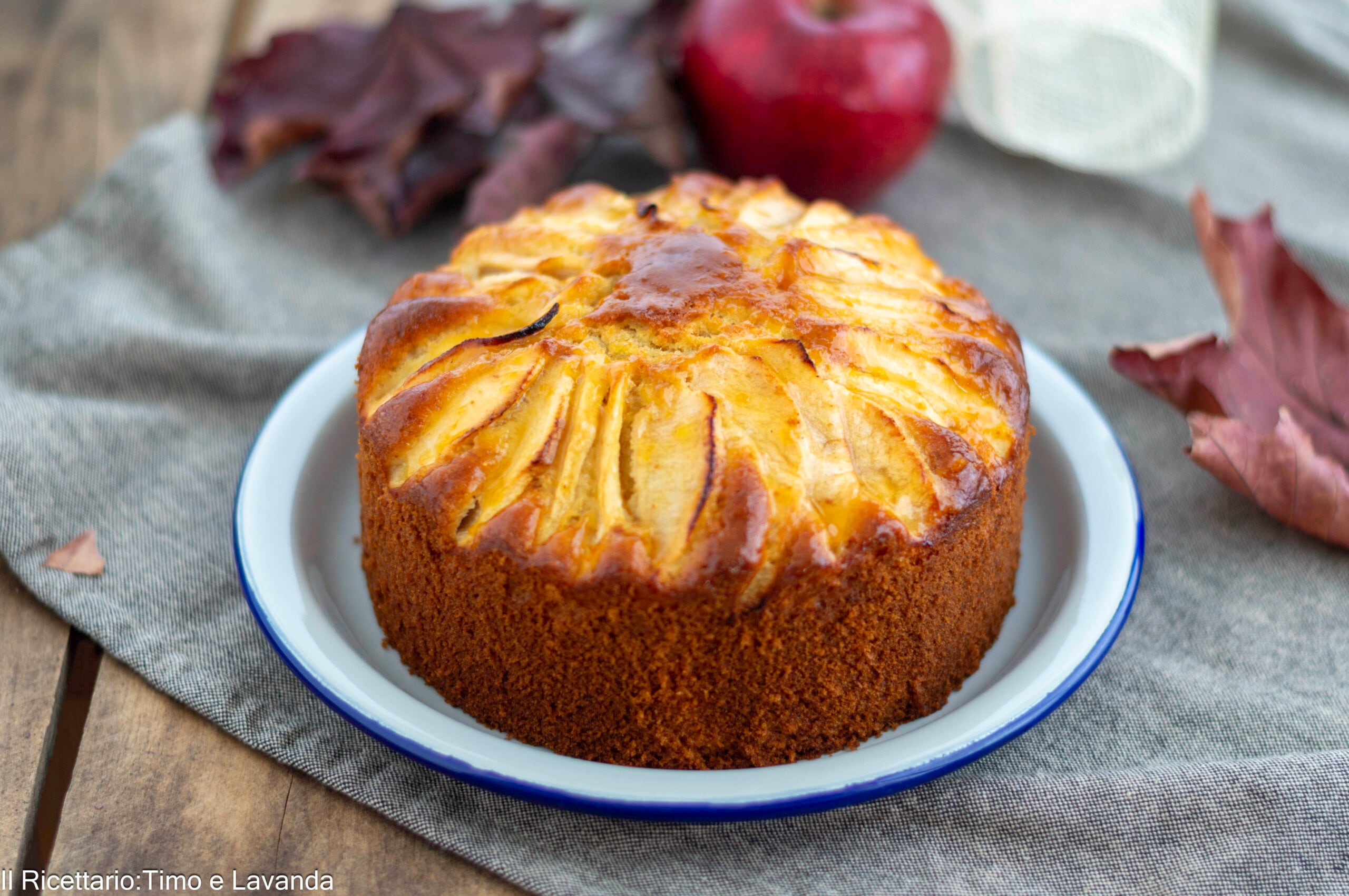 Apple Yogurt Cake