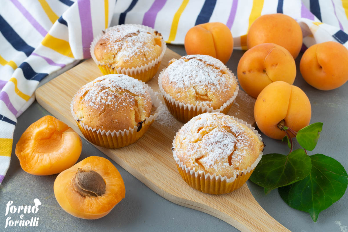 Fresh Apricot Muffins
