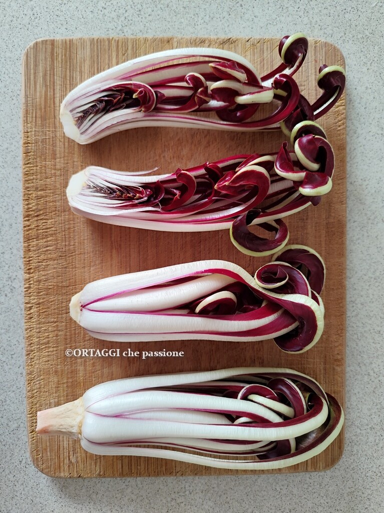 cut radicchio
